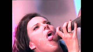 Negre rei i la seva cases d&#039;són fotudament aquest mor de fam guineu pollet