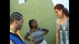 Jake oř malé bílé kočky Malý Červený Ďábel