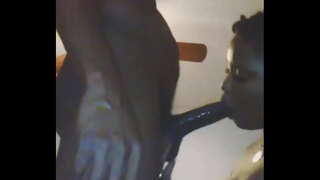 Xejn bħal kelba li jħobbu iġbed dick